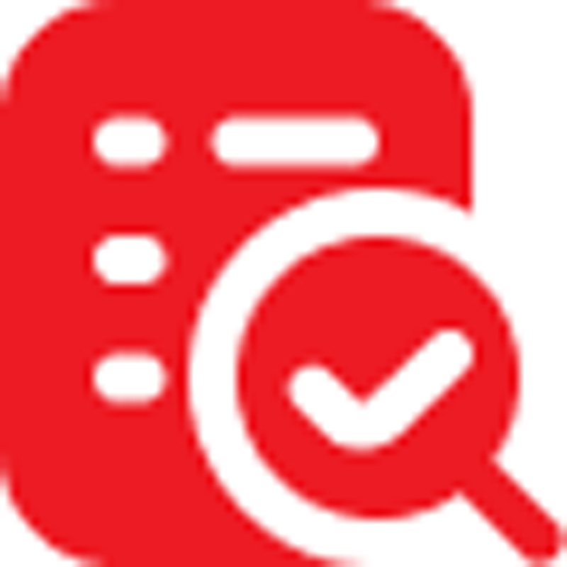 Check-in and boarding procedure icon