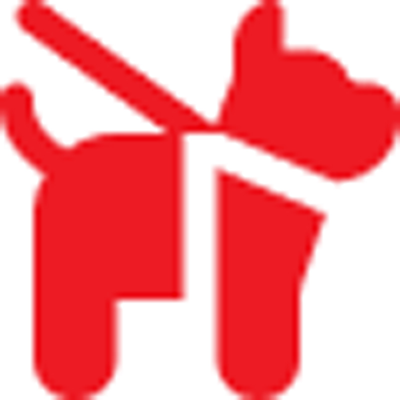 Pet travel rule icon