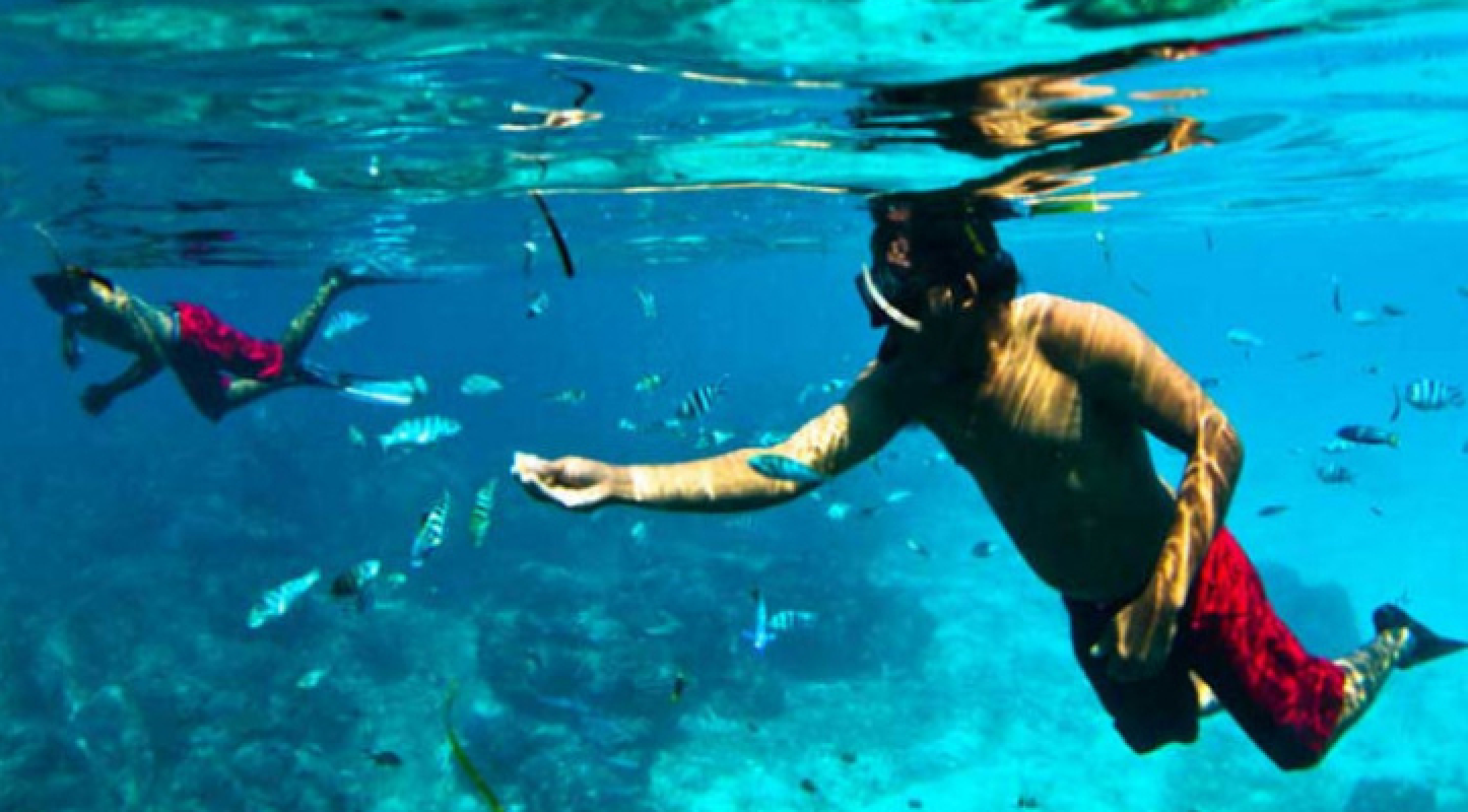 Snorkeling 1