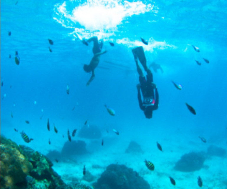 Snorkeling 3