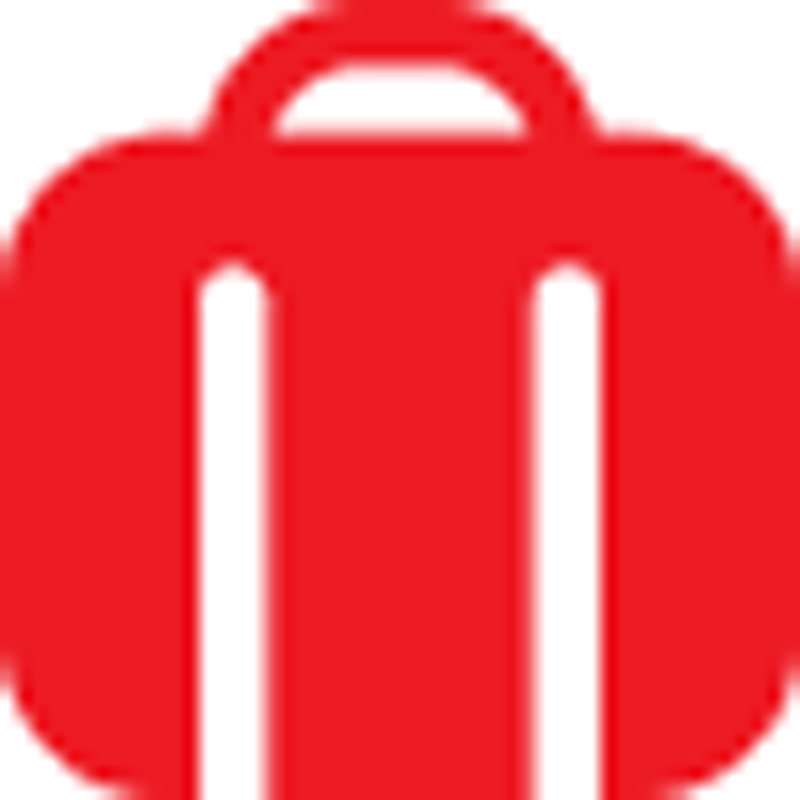Travel luggage icon