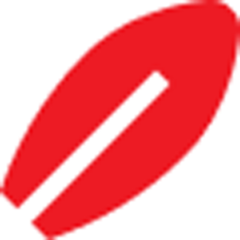 Surfing and water activity icon